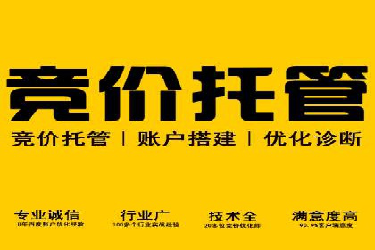 竞价策略揭秘：SEM竞价专员的三大成功案例